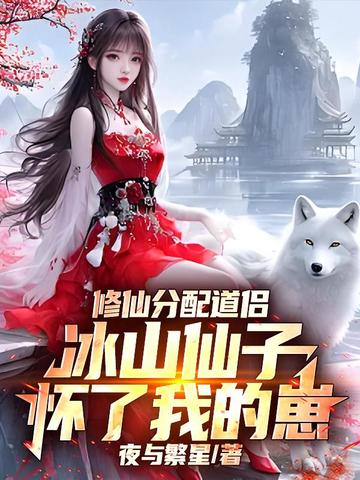 修仙分配道侣,冰山仙子怀了我的崽